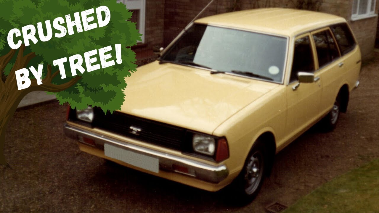 Datsun Sunny Estate: Crushed By Tree & Vandalised (Classic Car)