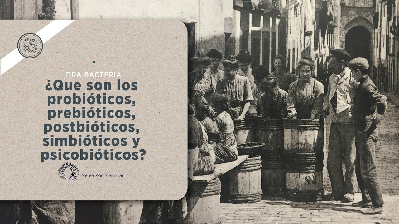 &iquest;Que son los probi&oacute;ticos, prebi&oacute;ticos, postbi&oacute;ticos, simbi&oacute;ticos y psicobi&oacute;ticos?