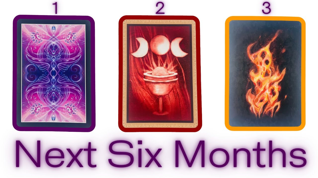 🔮Next 6 Months➝ 
