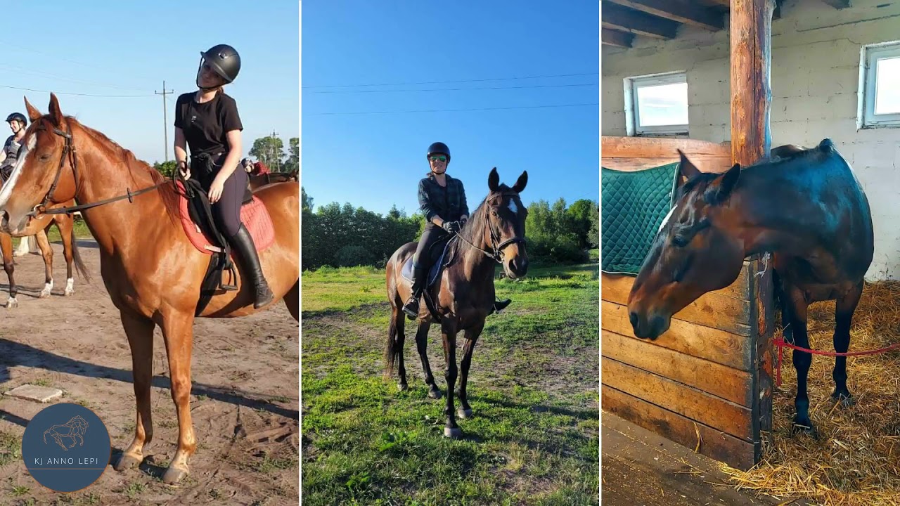 galop po plaży KJ Anno Lepi