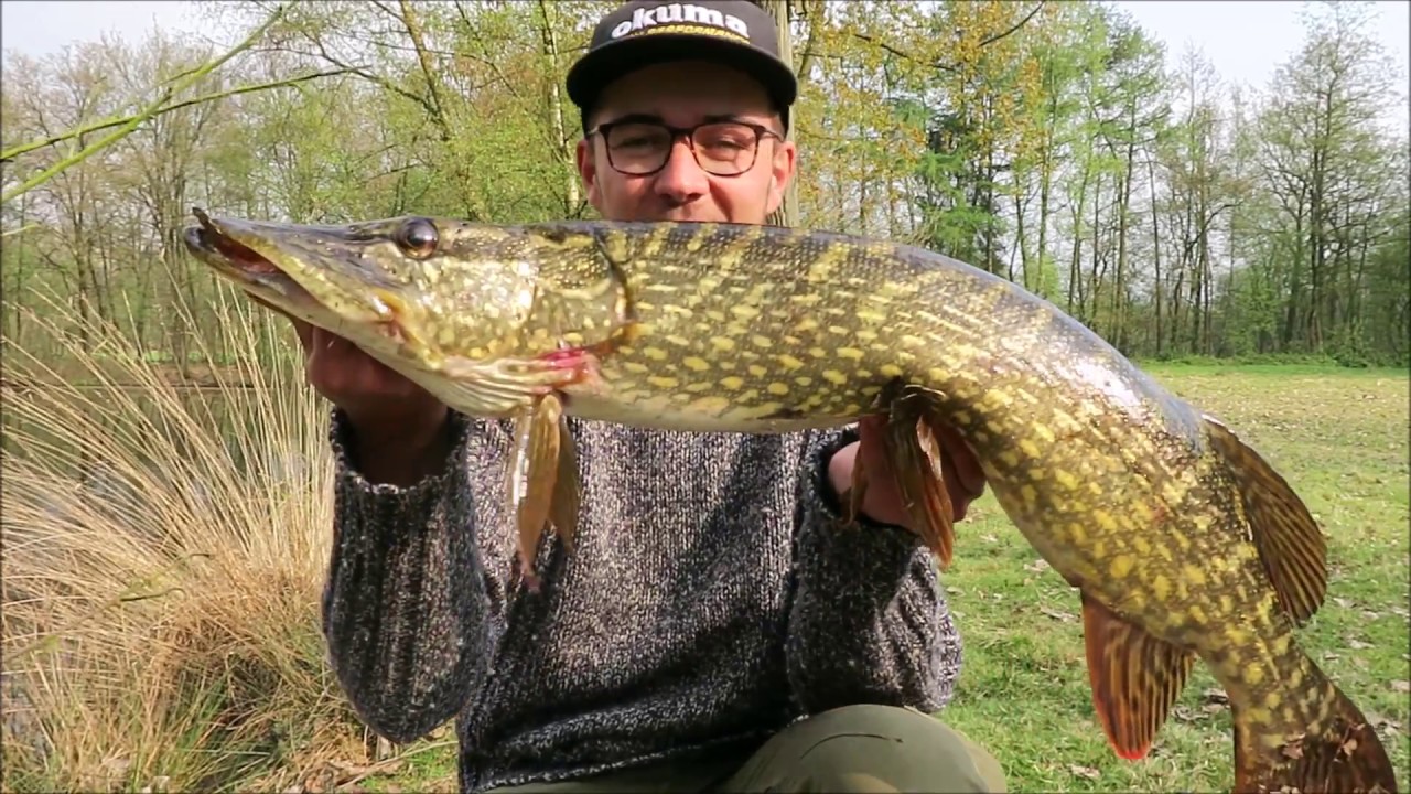 pike squad: Hybrid pike from savage gear