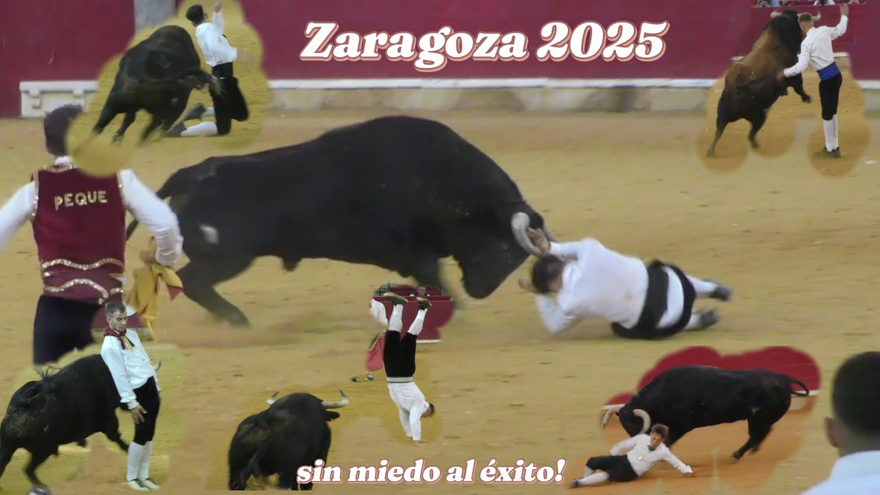 Recortes Zaragoza 2025 - Zaragoza enloquece con los increíbles quiebros ,saltos y Recortes