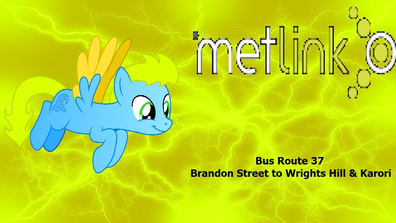 Wellington Bus: Route 37 - Brandon Street to Wrights Hill & Karori Mall