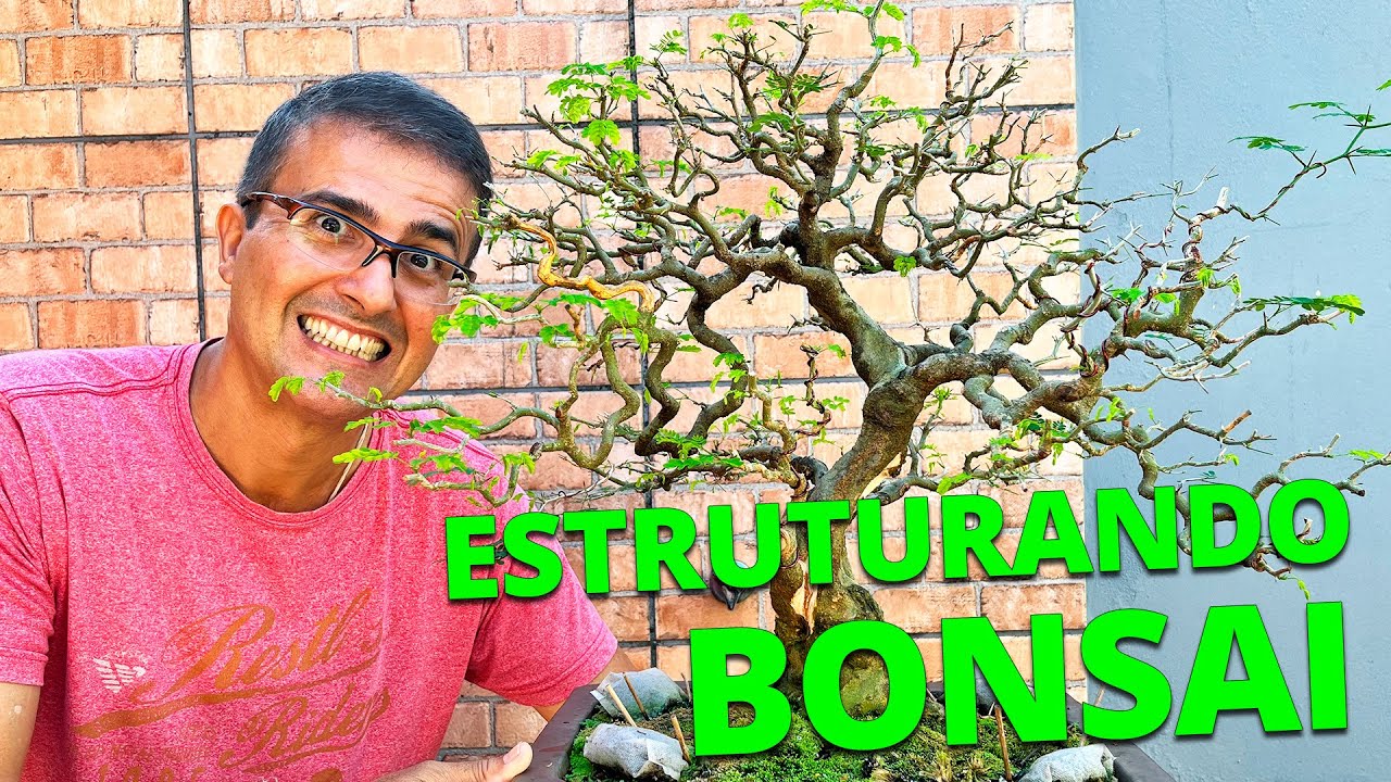 ESTRUTURANDO BONSAI DE FORMA DIFERENTE!?!