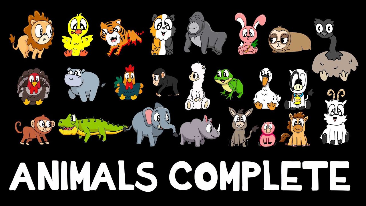 Learn about Animals for Kids | Educational Videos for Toddlers | Picture Show