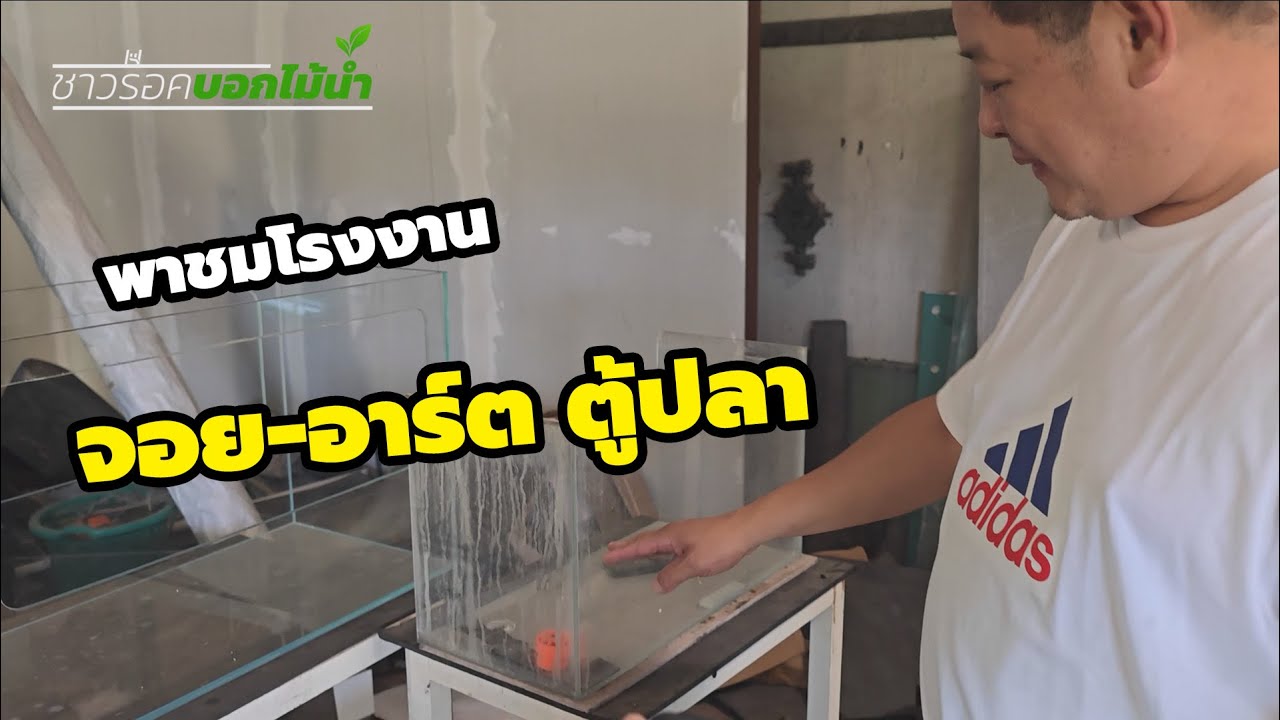 พาชมโรงงานจอย-อาร์ต ตู้ปลา หนึ่งในตำนานช่างตู้ปลาเมืองไทย