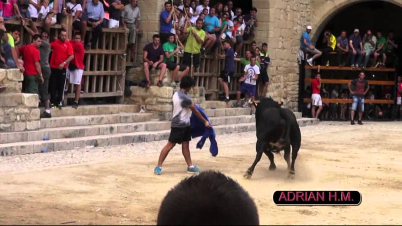 VIDEOCLIP 1ºDVD DE LA 2º PARTE DEL DVD BOUS ADRIAN HERNANDEZ MARI 2013