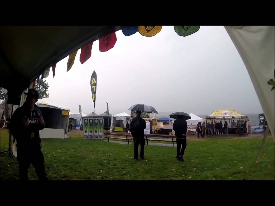 A Walk Through Seattle Hempfest 2015