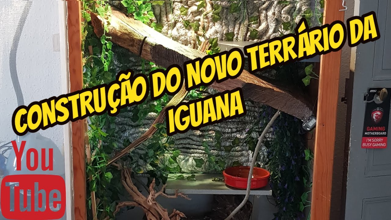 CONSTRUÇÃO DO NOVO TERRÁRIO DA IGUANA
