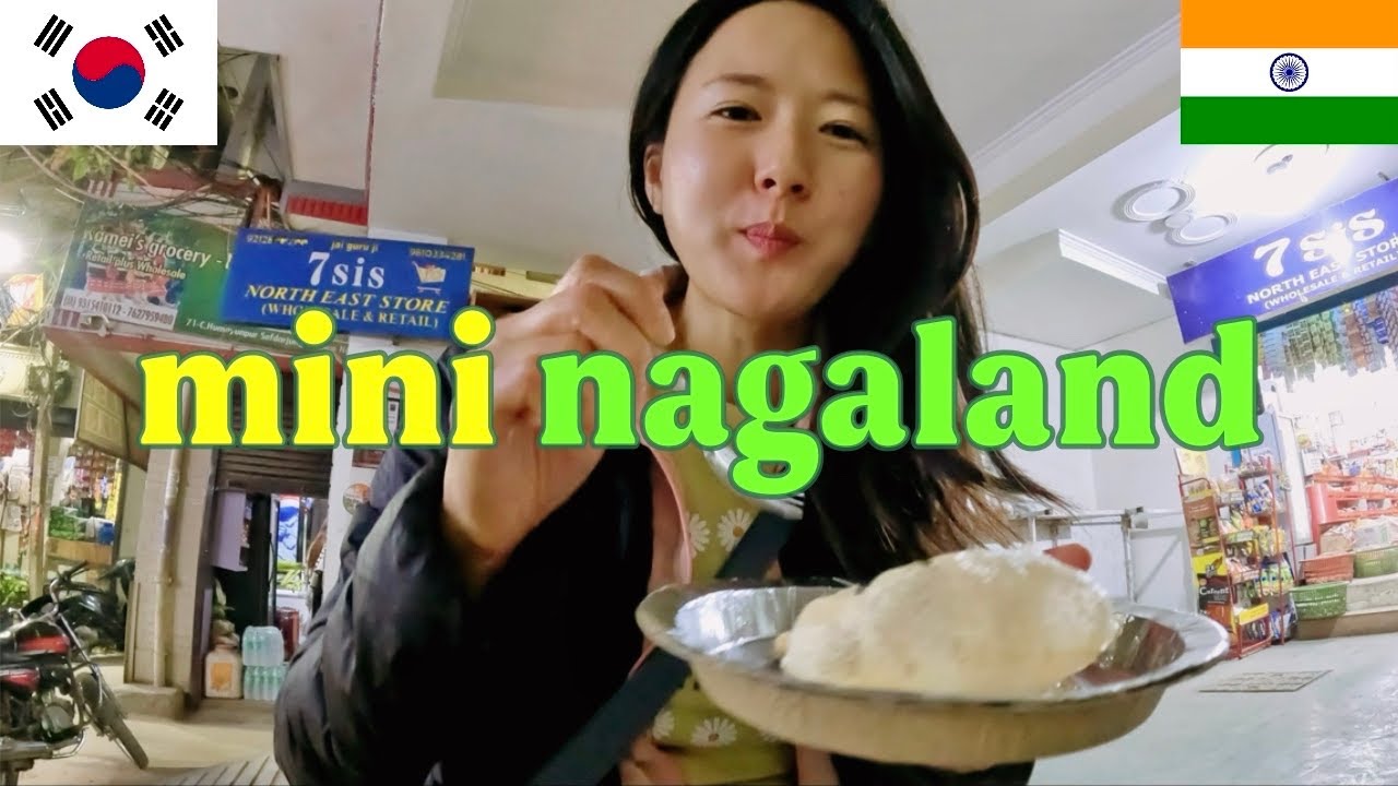 Dimapur to Delhi Flight | Mini Nagaland in Safdarjung | What Magnitude 4.2 Earthquake Feels Like