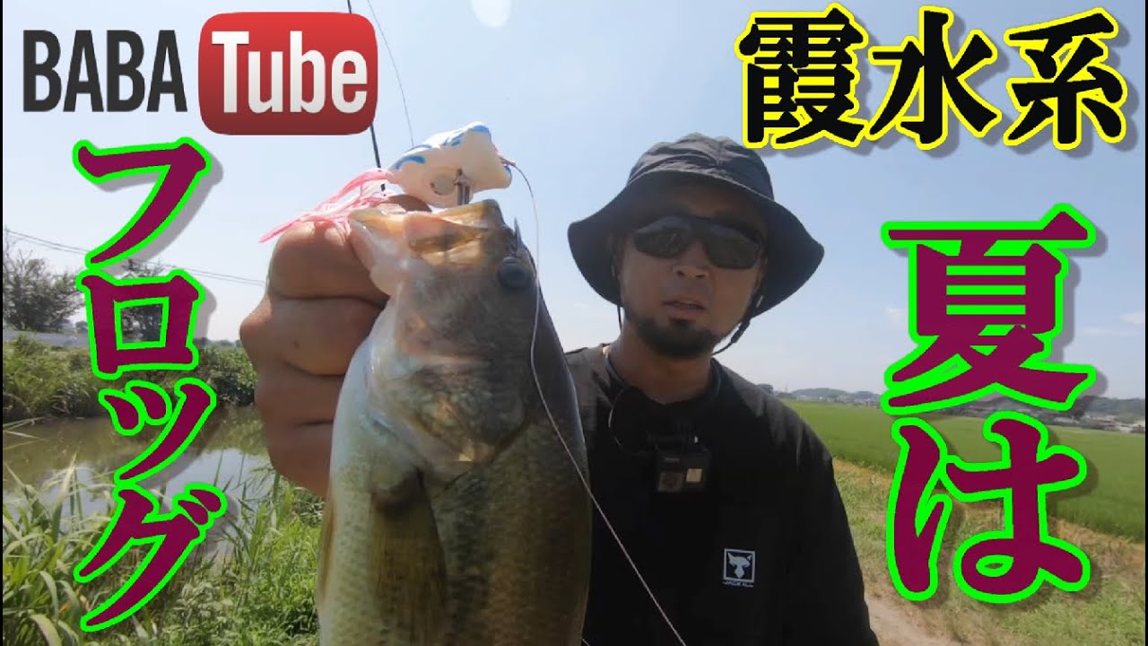 BABATube【霞水系】陸っぱりフロッグの使い分け！