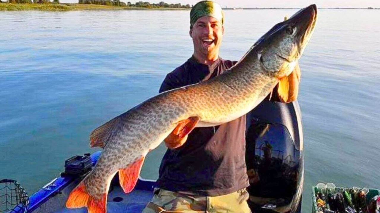 PECHE DU MASKINONGE AU QUEBEC