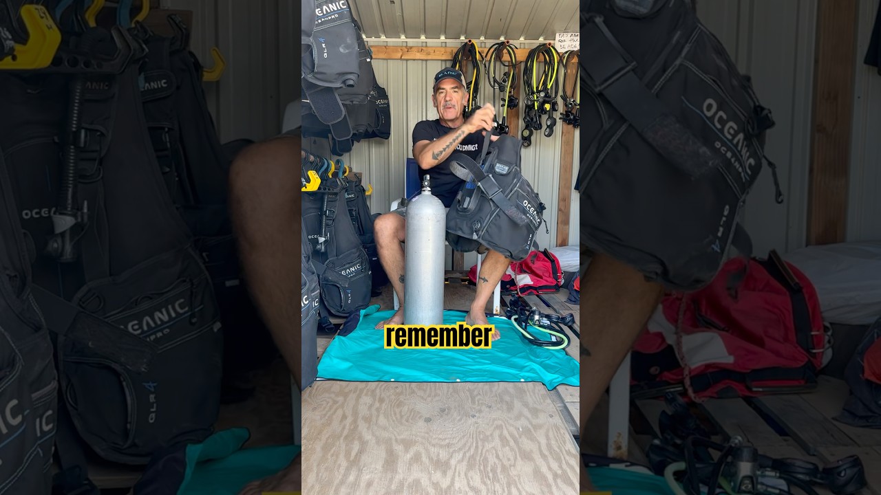 How To Set Up Your Dive Gear Correct! 😎🤿🕺🏻#shorts