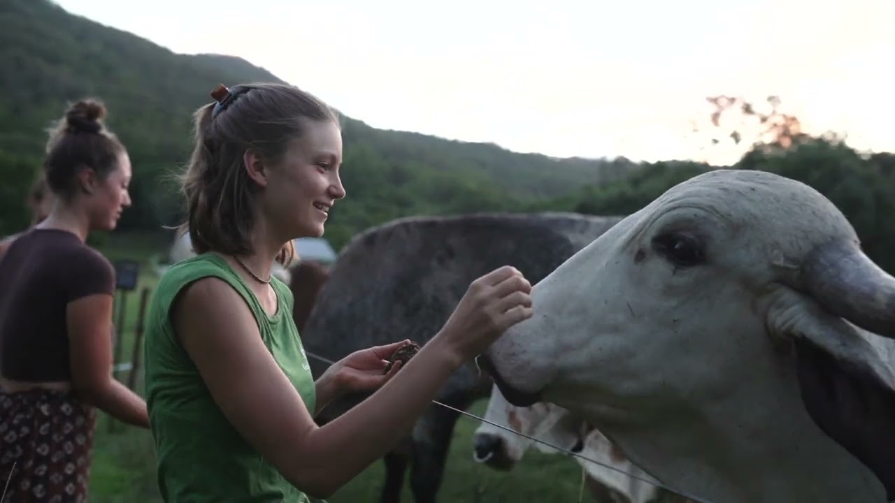 Krishna Village 6-week full immersion Yoga Teacher Training