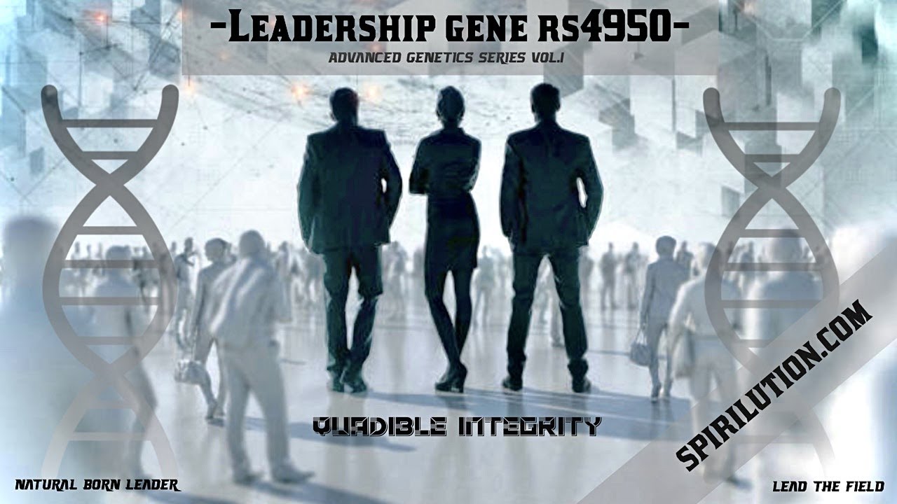 ★ Leadership Gene rs4950 ★ [Advanced Genetics]