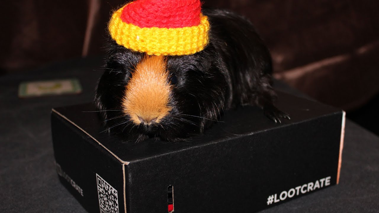 Loot Crate &ndash; listopad 2014