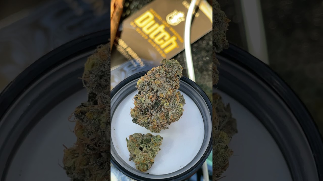 Bout to smoke some Gushers from the Growers Circle In Las Vegas NV
