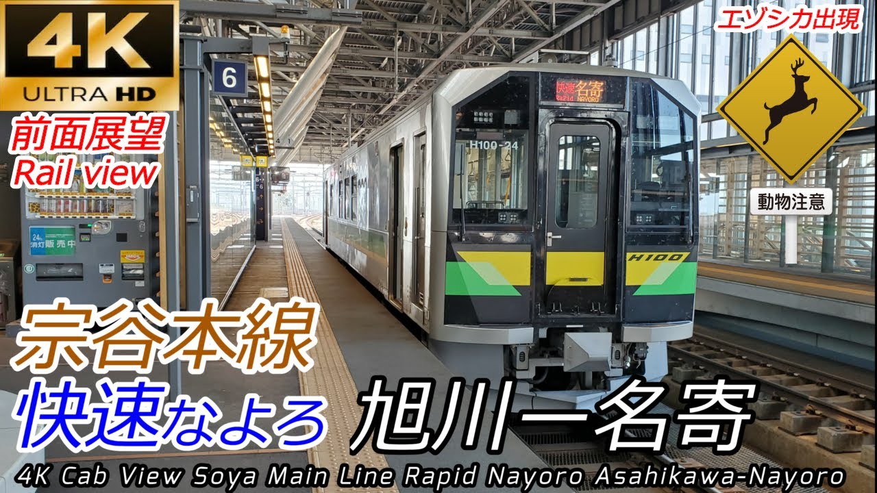 【4K60fps広角前面展望】エゾシカ横切る 宗谷本線快速なよろ 旭川→名寄【速度計付】