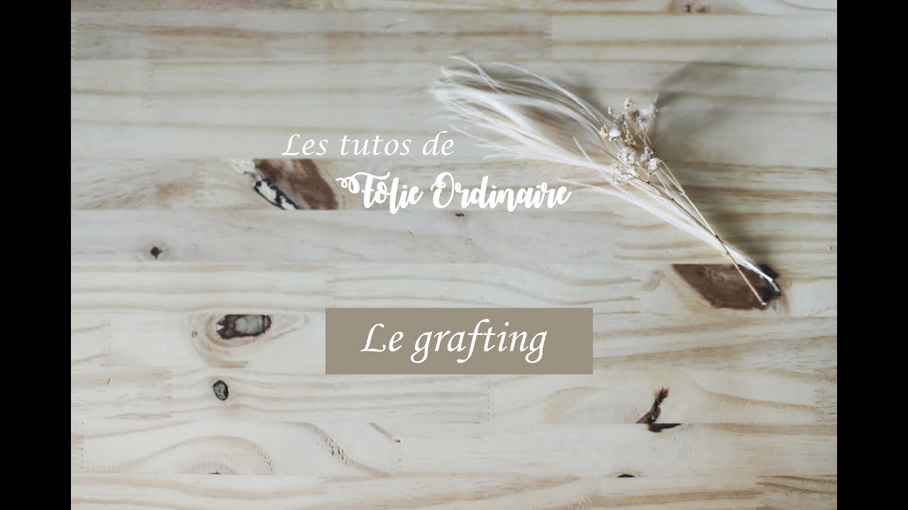 Les tutos vidéos de Folie 0rdinaire : le grafting.