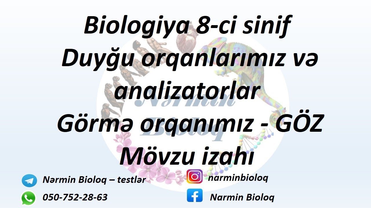 Biologiya 8-ci sinif Duyğu orqanlarımız və analizatorlar. Görmə orqanımız - GÖZ mövzu izahı