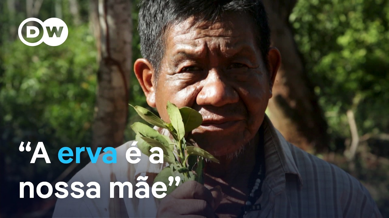 A verdadeira origem do mate – e como é seu cultivo ancestral