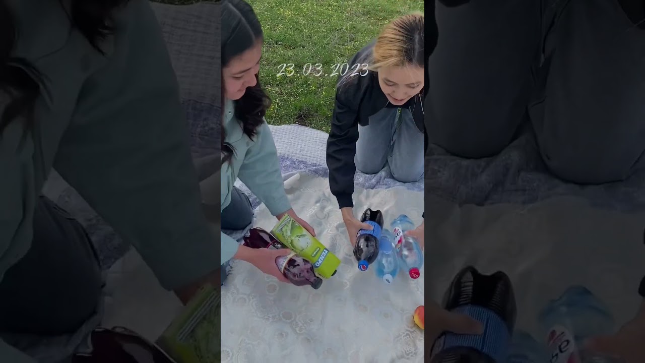 Picnic ideas for park | picnic ideas for family | picnic ideas for friends | #partyideas #picnicidea