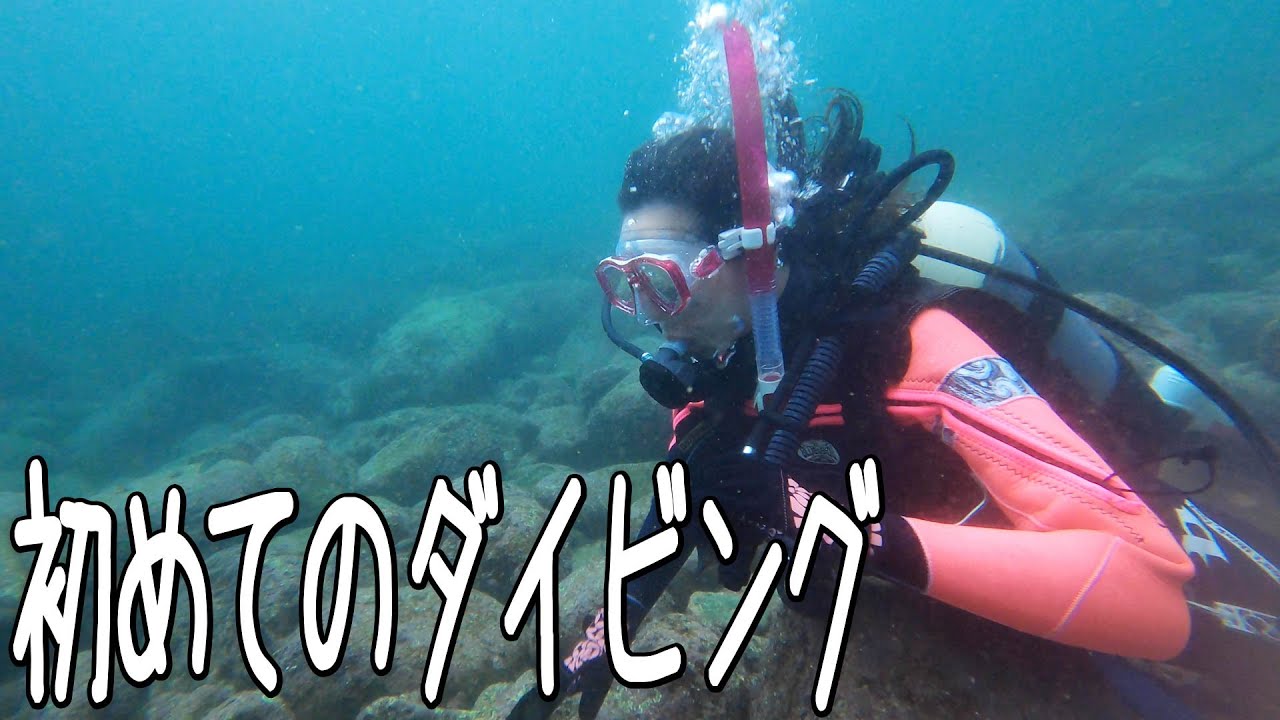 【初ダイビング】人生初のダイビング中に奇跡の生物を発見！？【海洋実習】