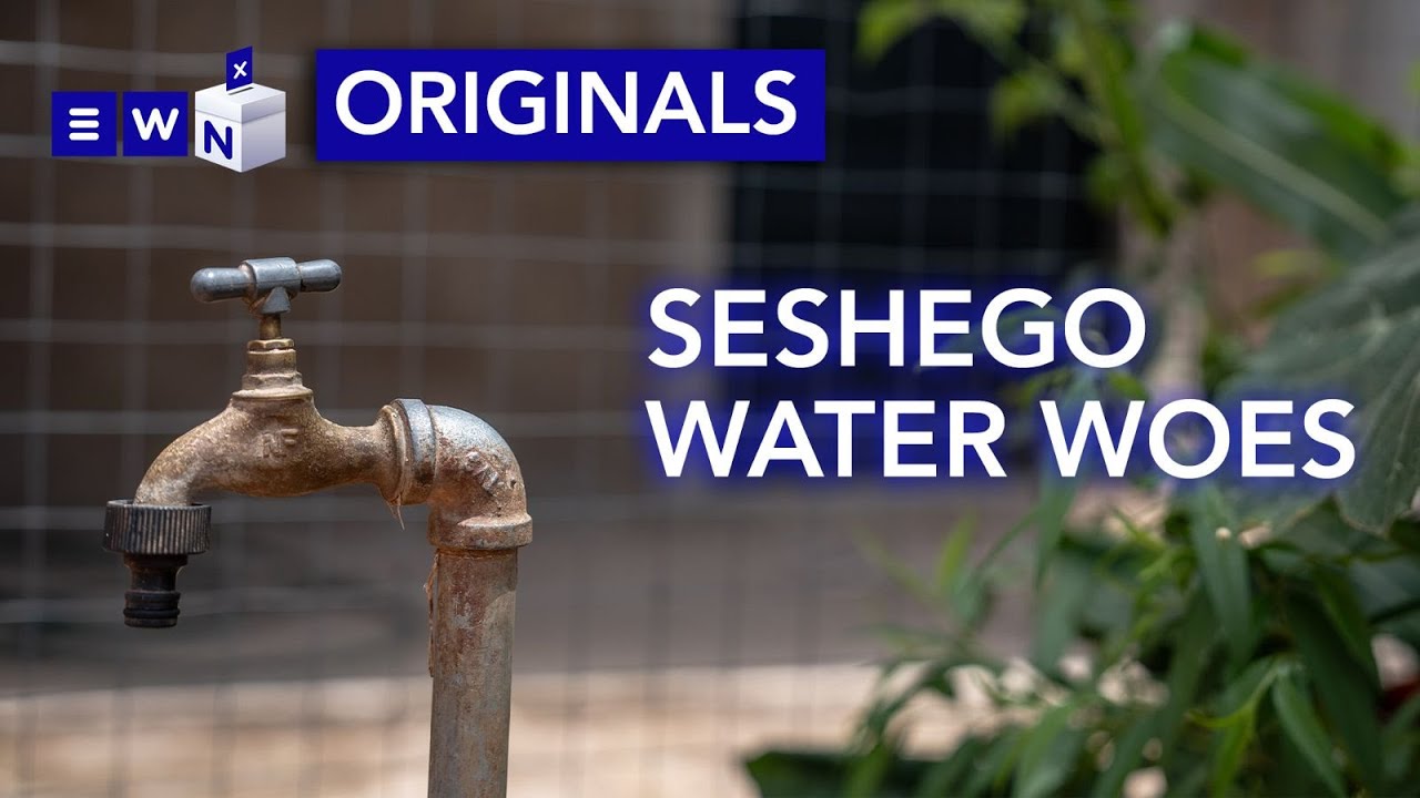 'We share water with the cows' - Seshego community struggle with water shortages