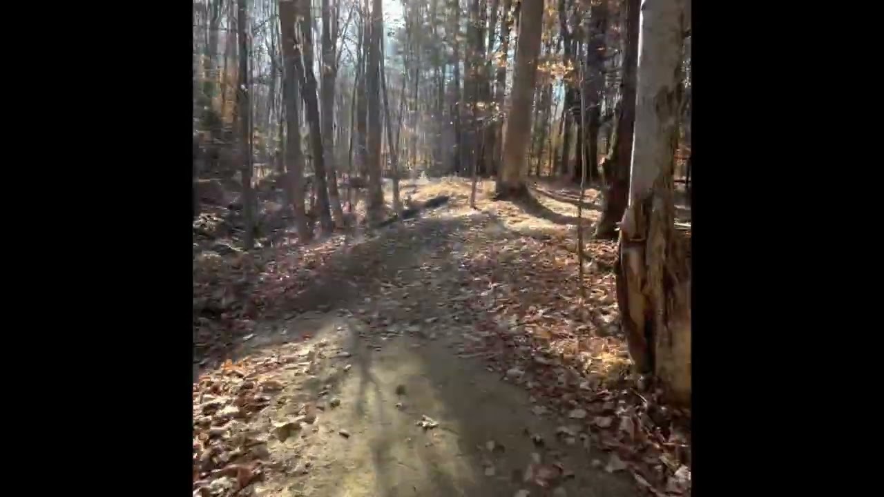 Goose River Trails beginner loop