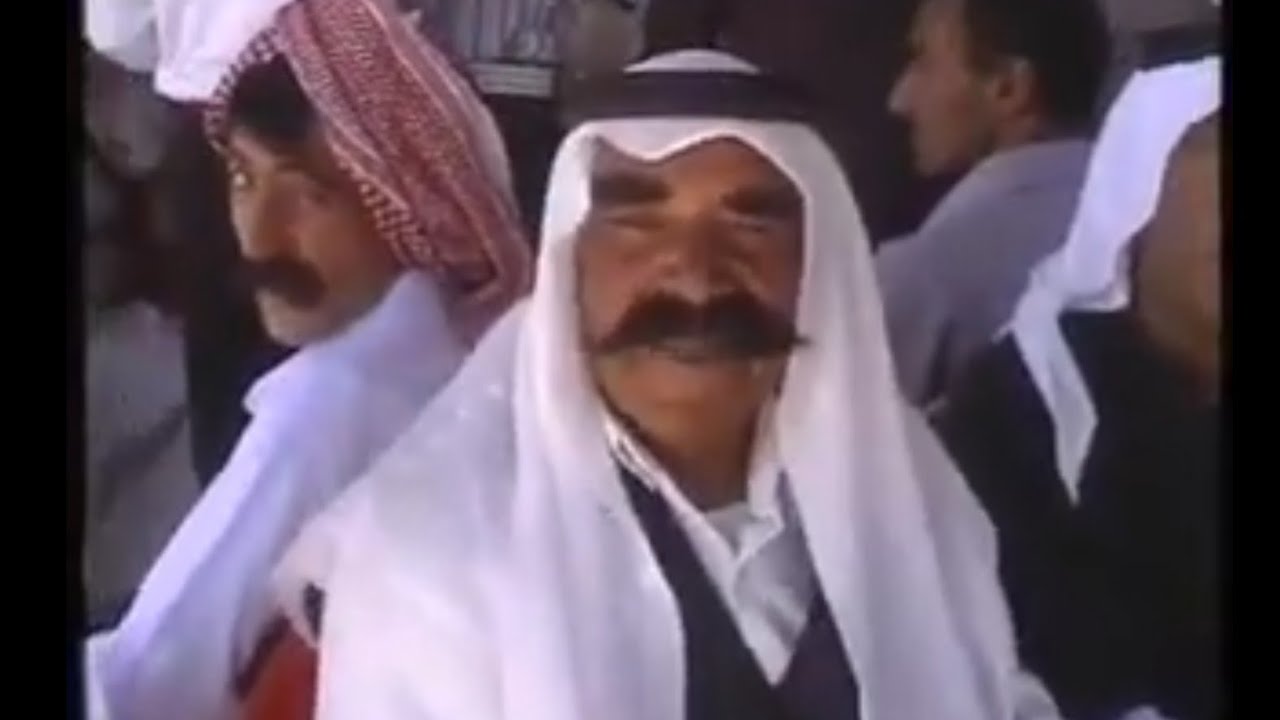 حفلة عزيز الياس الهبابي 2007 قرية النصيرية أيام زمان 💔😢