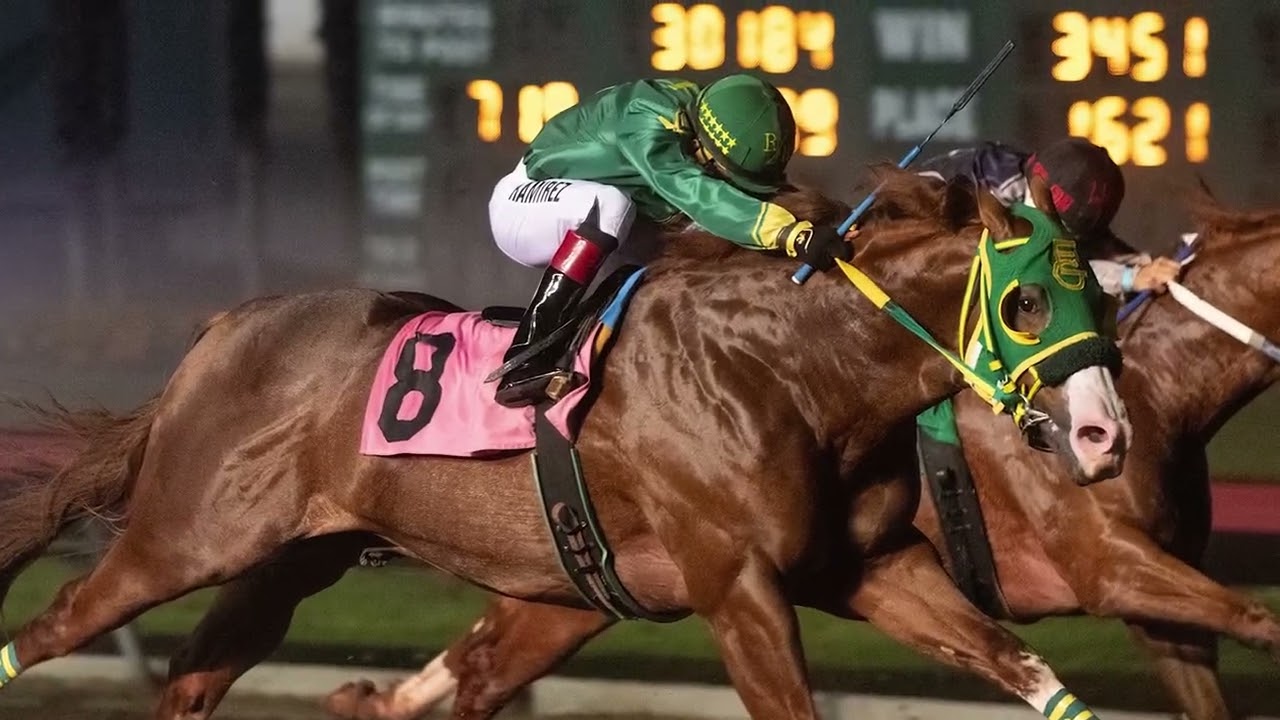 Quarter Horse Weekend of the Year 2025 at Los Alamitos