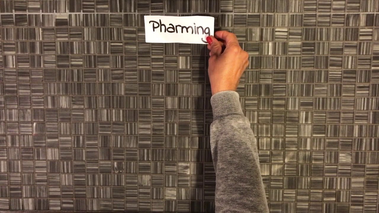 Internet hacking - Phishing And Pharming