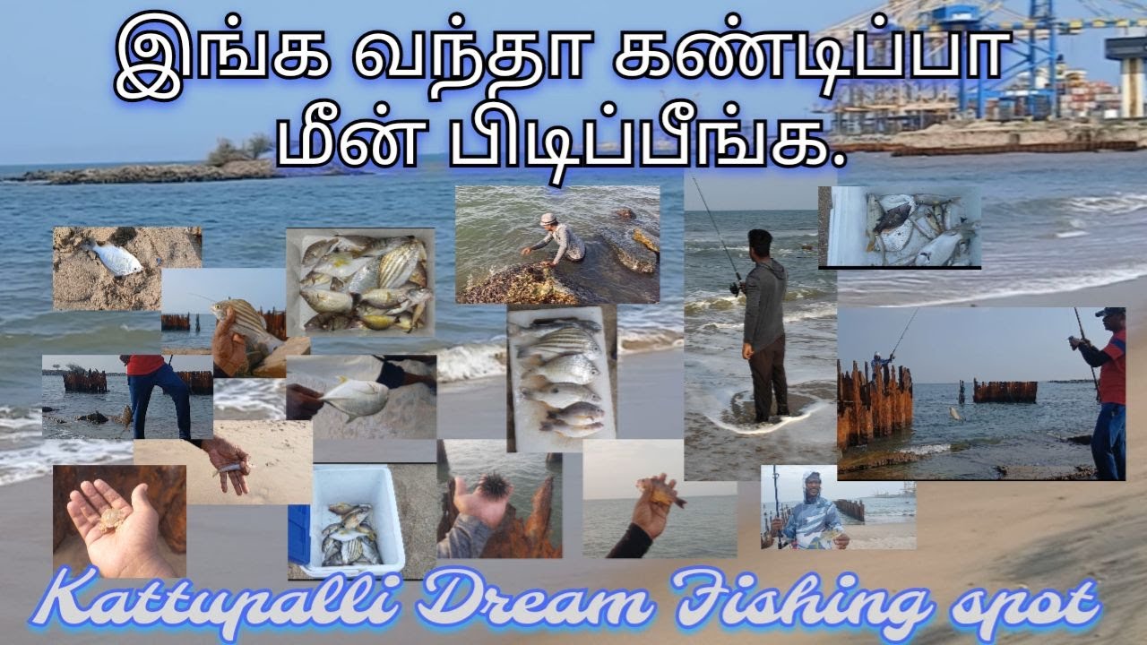 காட்டுப்பள்ளிக்கு மீன்பிடிக்க வாங்க வீட்டுக்கு சந்தோஷமா போங்க-Kattupalli Dream Fishing Spot friends.