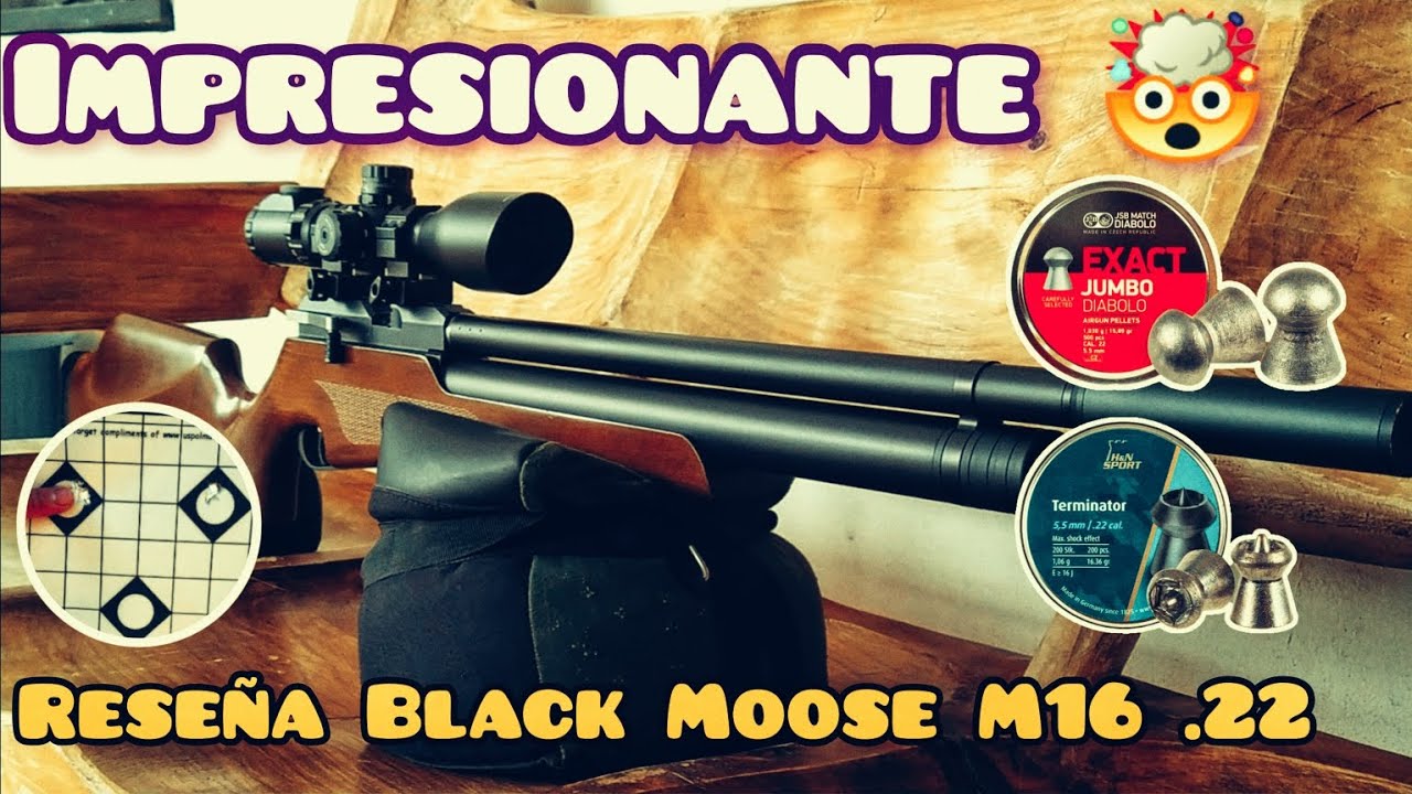 Artemis Black Moose M16 .22 | Impresionante rendimiento por su costo 🤯