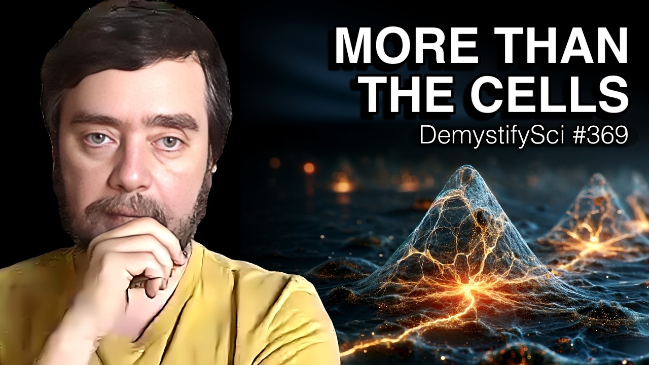 Where Biology Goes Off the Rails - Dr. Michael Levin, DemystifySci #369