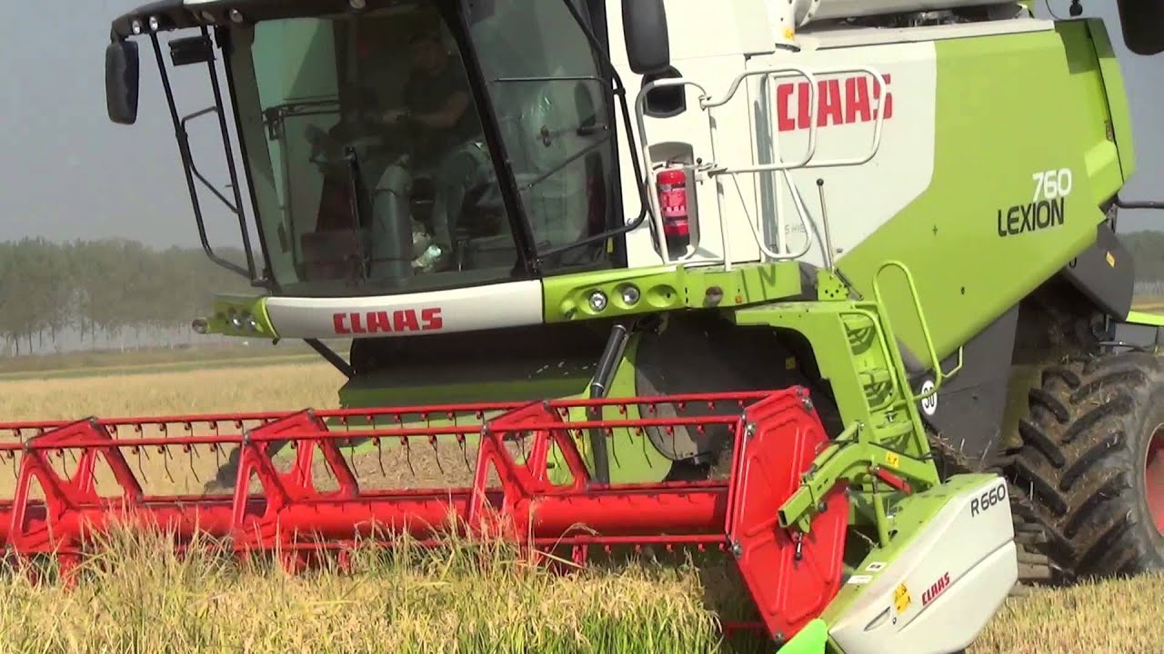 Mietitura Riso 2013: CLAAS Lexion 760 R660 (2011 Rice Version)