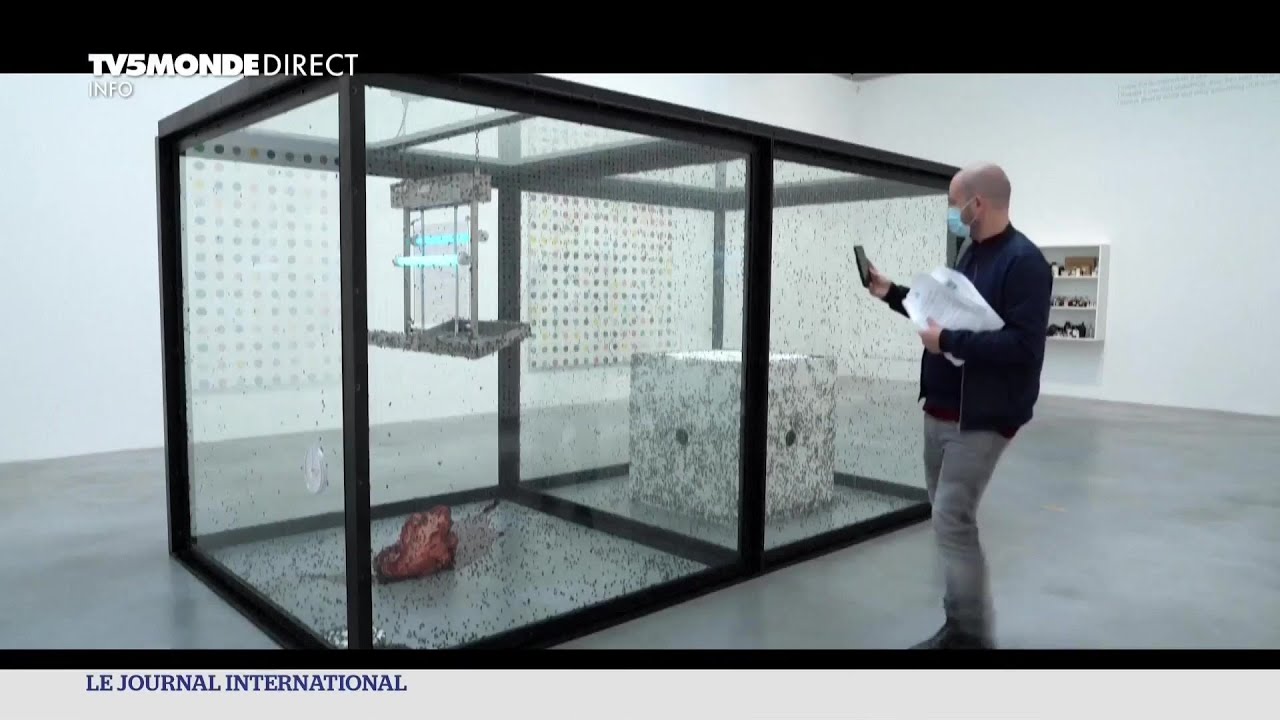 Londres : l'artiste plasticien Damien Hirst expose ses oeuvres à succès des années 80-90