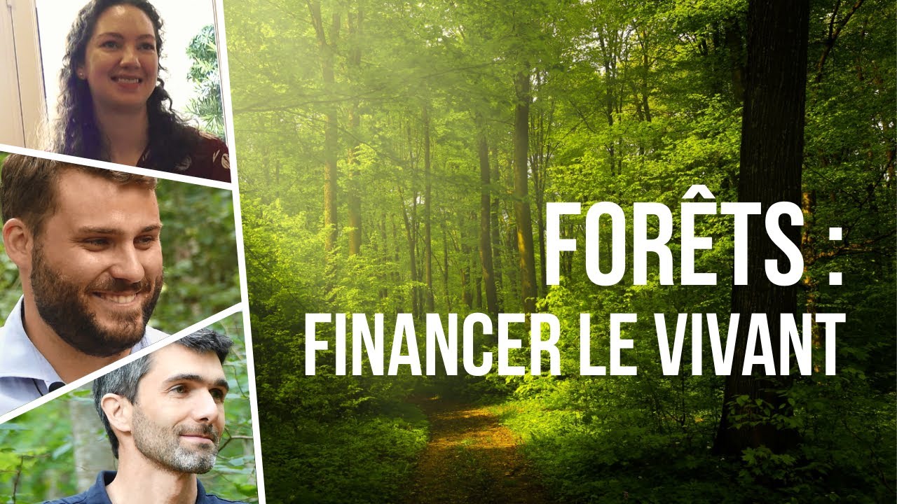 Investir dans la forêt | Documentaire