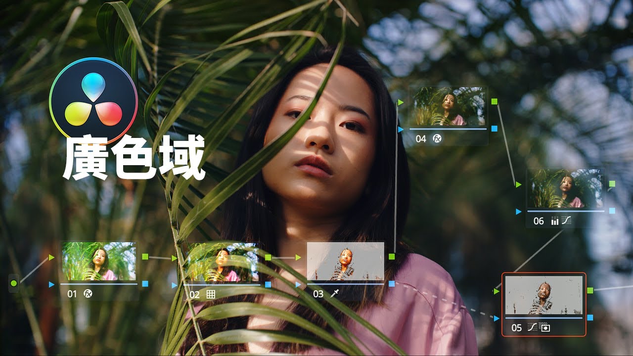 達芬奇廣色域如何正常使用LUTs和限定器 | “三級調色”