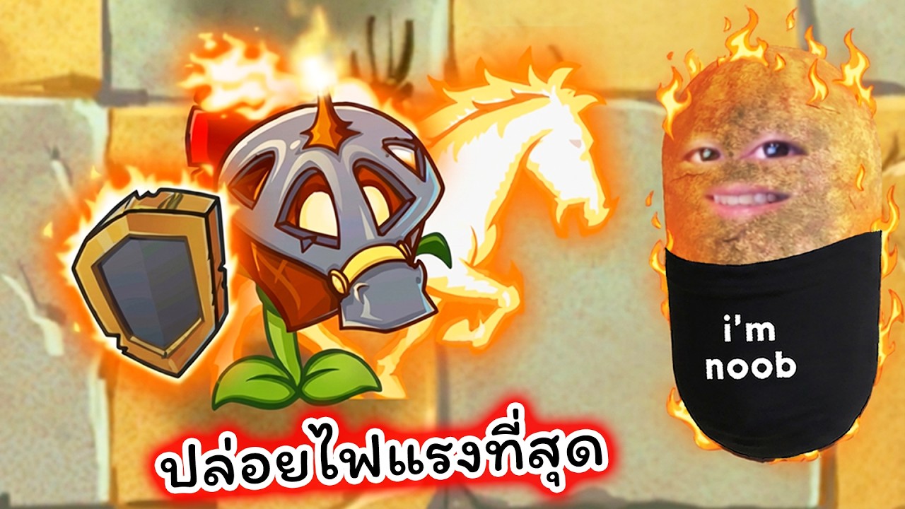 พืชอัศวินม้าไฟปล่อยไฟแรงที่สุด Plants Vs Zombies 2