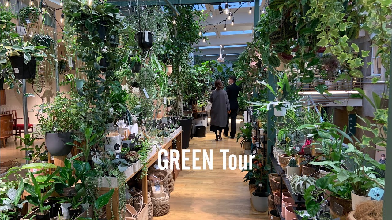 今秋オープンのACTUS観葉植物専門店を徹底調査！京都観光にもおすすめ |  園芸店巡り | ノードリウム・京都  |  京都/烏丸