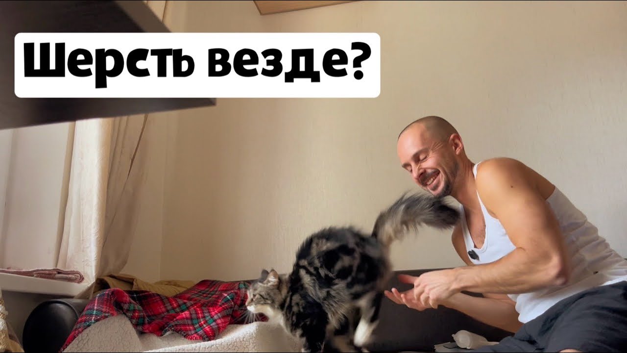 КАК ОЧИСТИТЬ дом от ШЕРСТИ