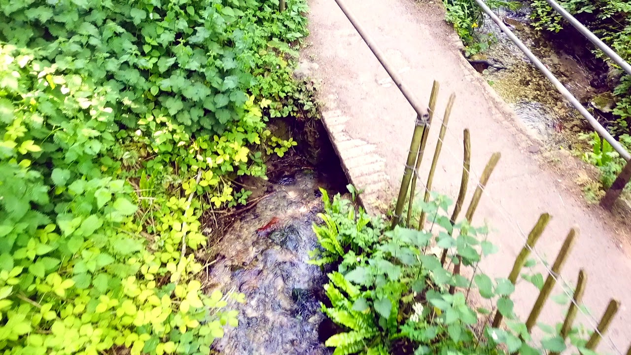 Natural World: S1, E1 Chiseldon UK (Full Screen)