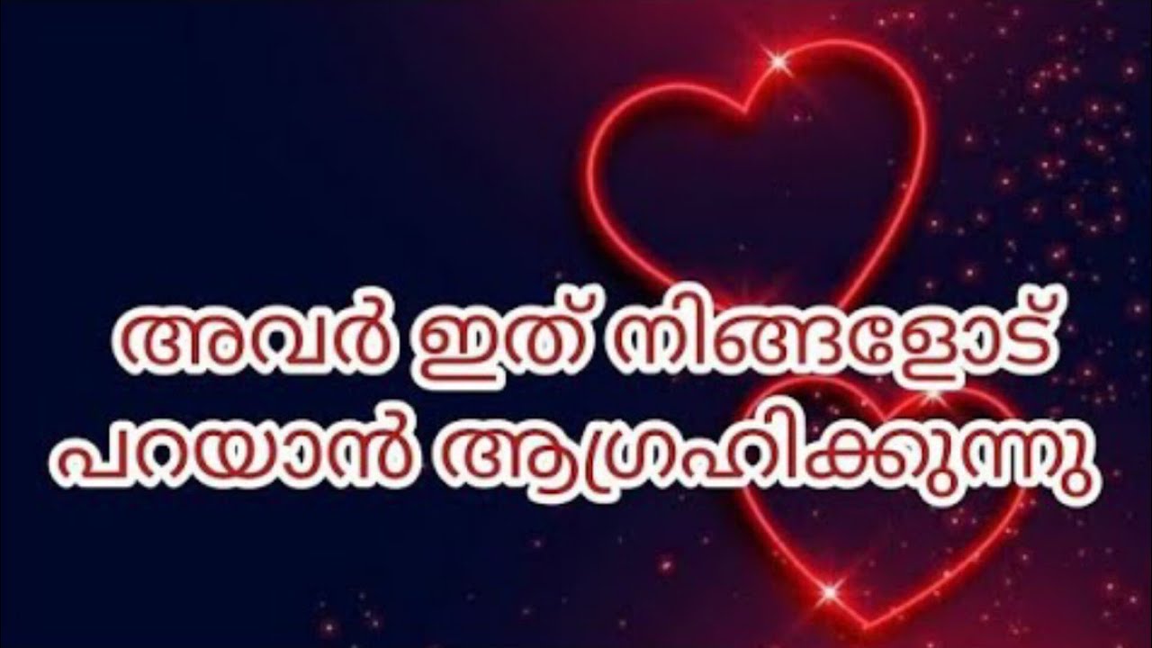 നിങ്ങളുടെ കൺഫ്യൂഷൻ ഇനി ഉണ്ടാകില്ല  thoughts of your person  #current #love #tarotreading #malayalam