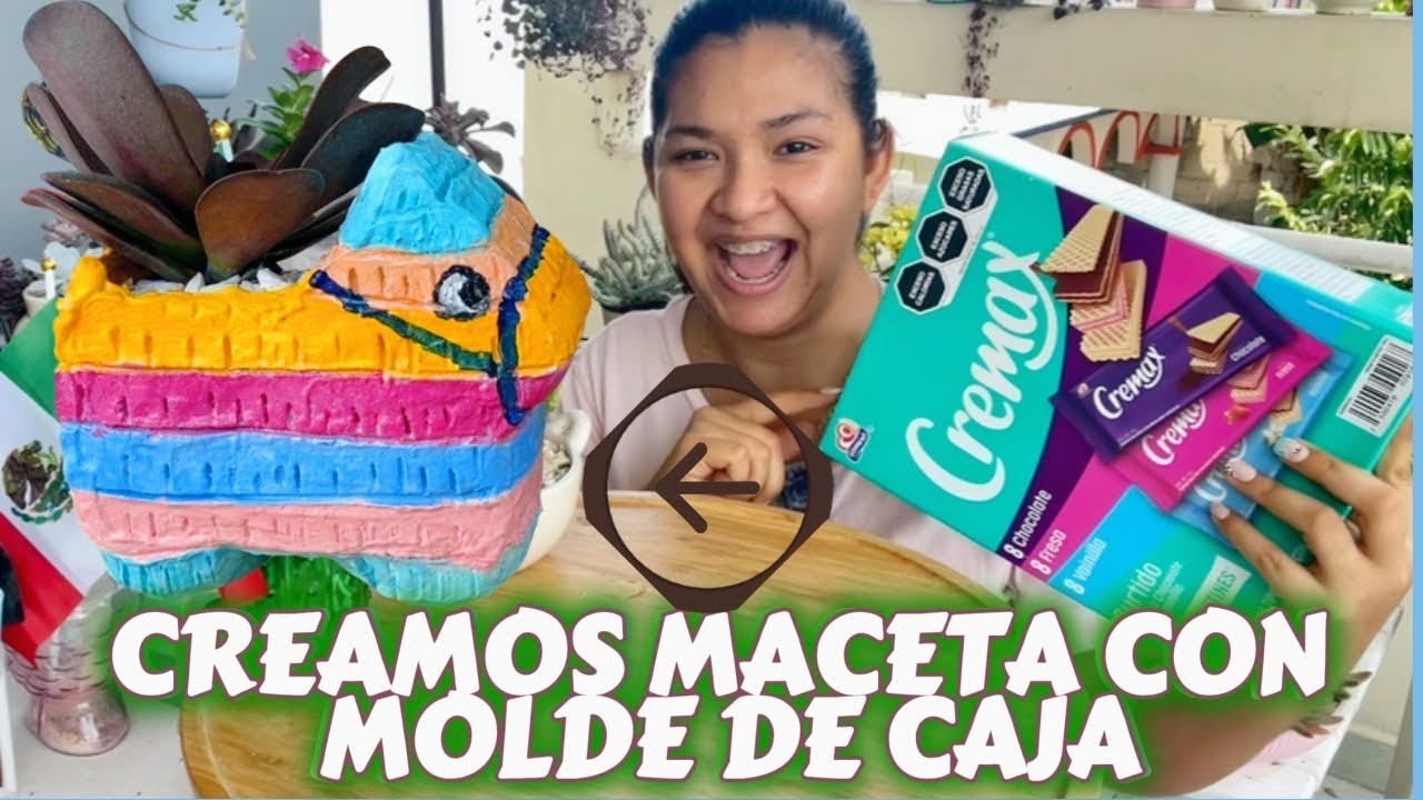 DIY TRANSFORMA UNA CAJA EN MACETA DE BURRITO MEXICANA #macetas #manualidades #diy #hechoamano 