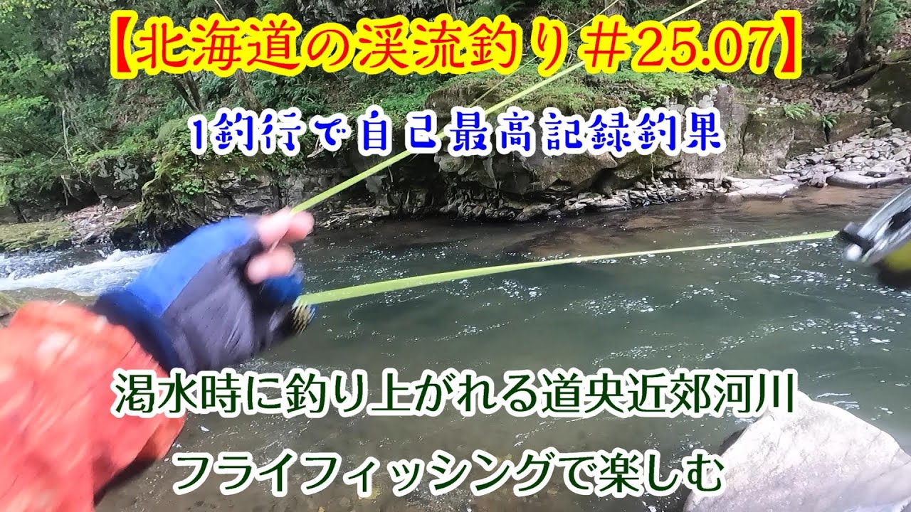 【北海道の渓流釣り＃25 07】《道央近郊河川で1日のニジマス釣りあげ過去最高の釣果》 #渓流釣り #道央近郊河川 #北海道 #フライフィッシング #ドライフライ  #ニジマス ＃パラシュートアント
