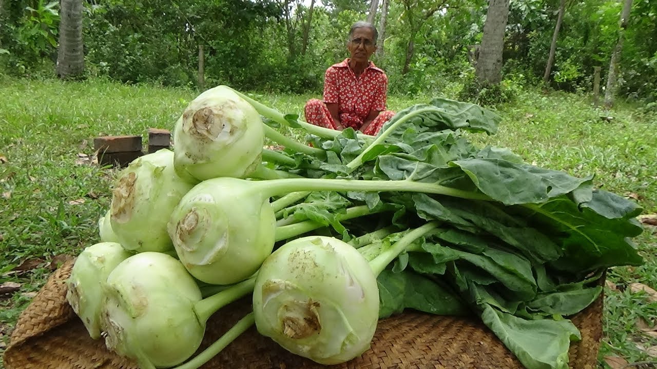 Village Vegetable Recipe ❤ Cooking Knol Khol Curry by Grandma