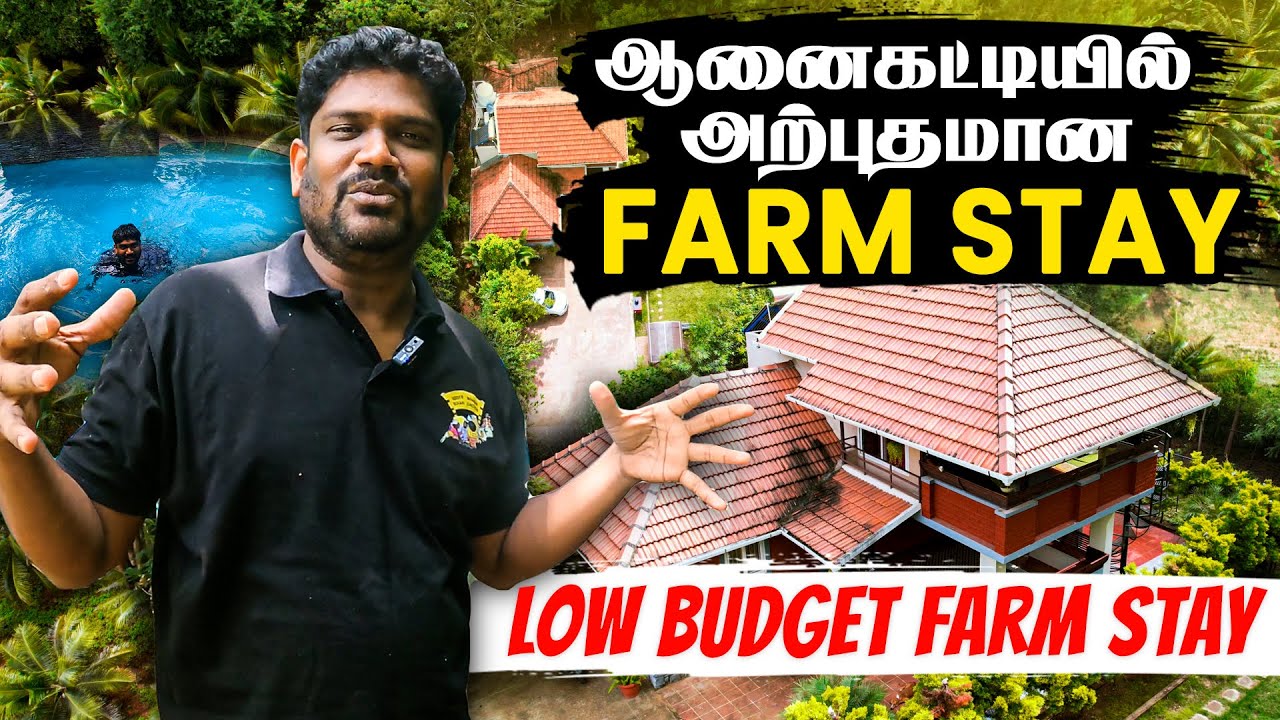 காட்டுக்குள் Resort | Anaikatti Low Budget Farm Stay | Fire Fly Resort | Buhari Junction