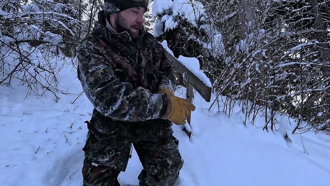 Зимний лес (walking)
