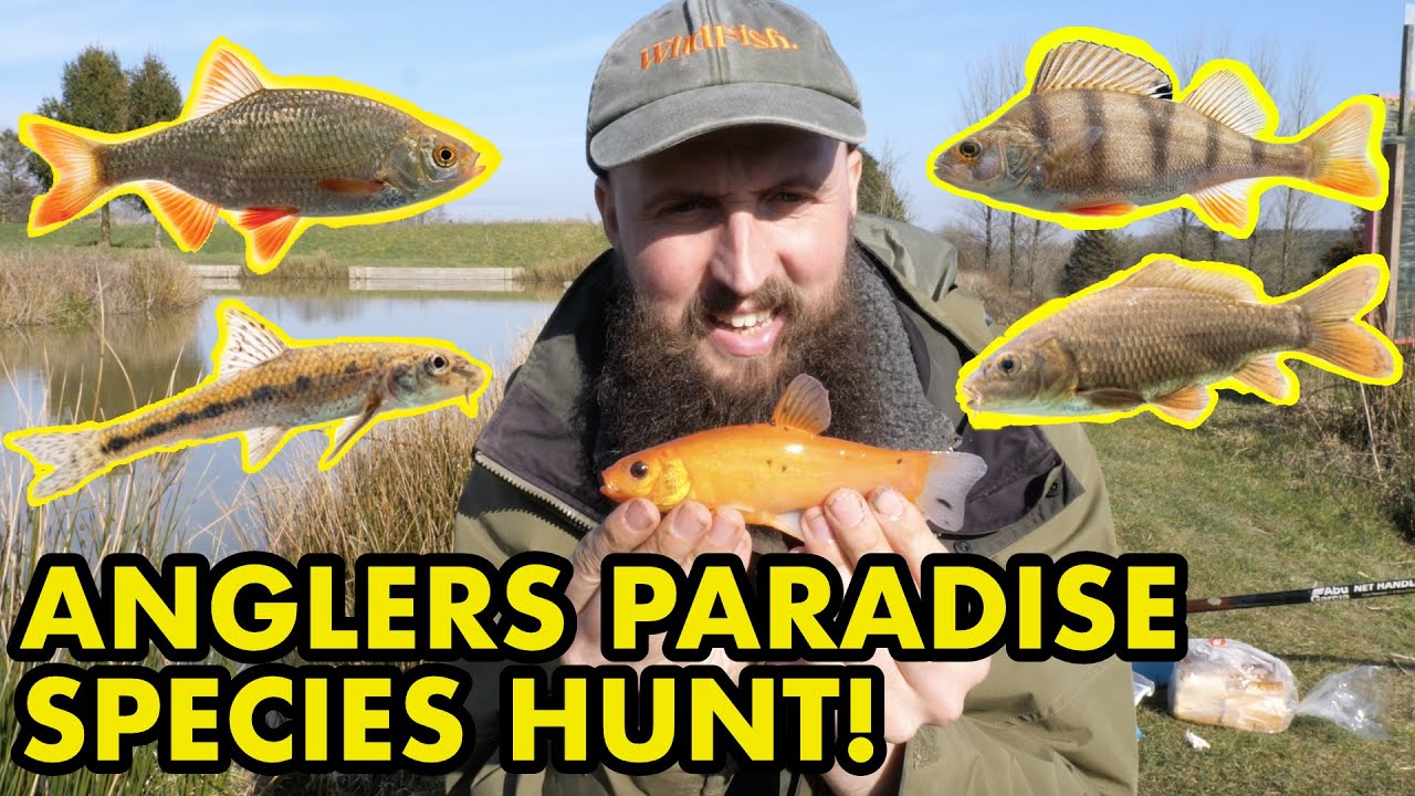 Anglers Paradise: How Many Species Can I Catch!